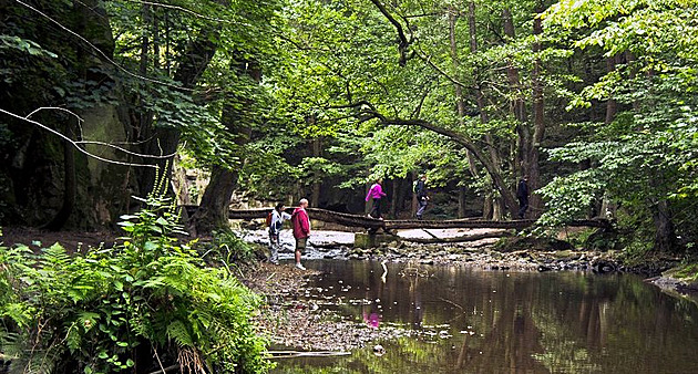 Miliony si nechte, odmítají obce na Křivoklátsku dotace i národní park