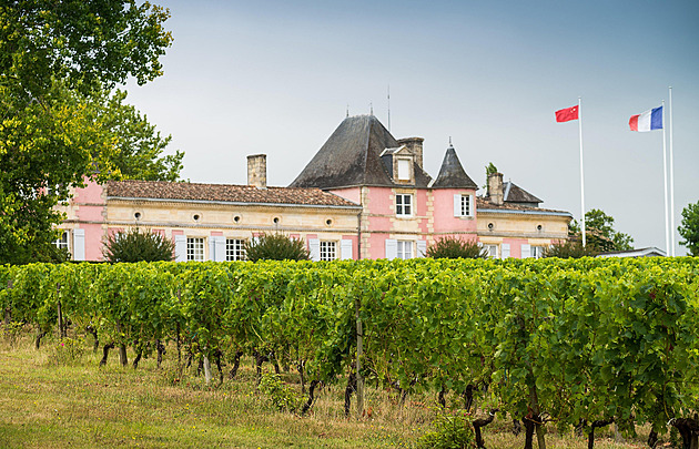 Vína se pije méně, vinaři ve Francii chtějí od vlády kompenzace za zničení zásob