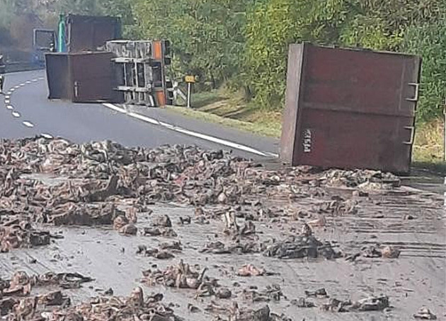 Kamion vyklopil náklad do kafilérie na silnici, ten blokuje tah z Písku do Prahy