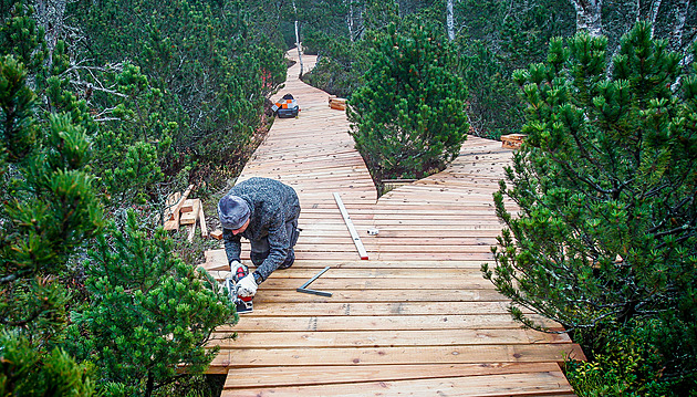Obnovují ztrouchnivělý dřevěný chodník k Chalupské slati na Šumavě