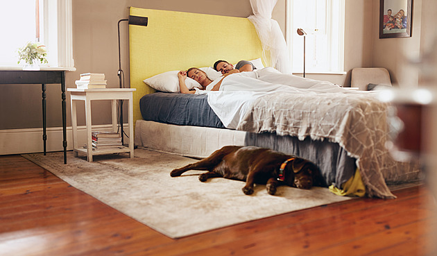 V ložnici oceníte „chlupatý“ koberec, dřevo na podlaze i teplé barvy.,