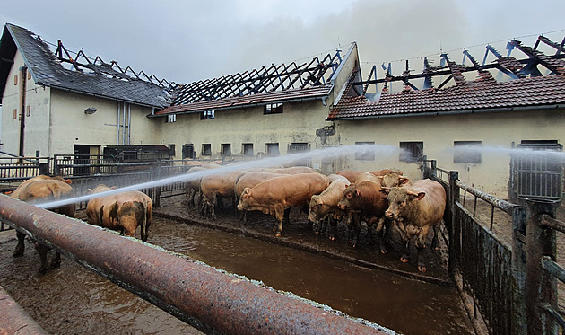 V Kunvaldu vzplál kravín. Zvířata jsou v bezpečí, škoda jde do milionů