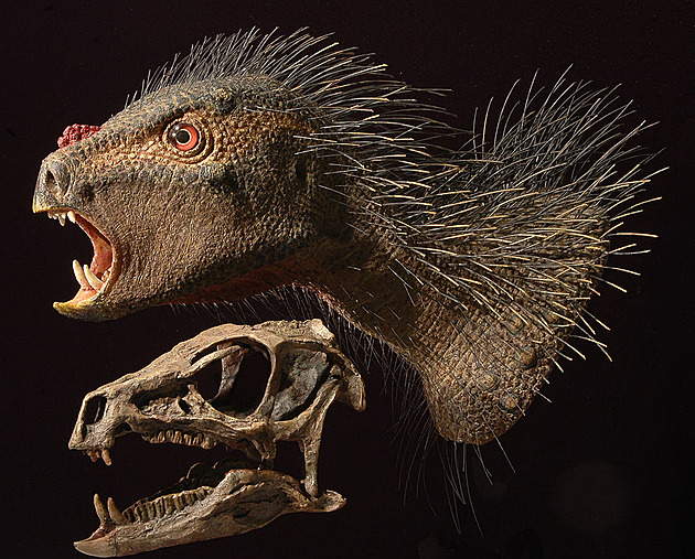 Dinosauří bratranec, který naboural zažité představy a zamotal vědcům hlavu