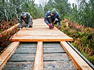 �emesln�ci obnovuj� pov�lkov� chodn�k na Chalupsk� slati na �umav�. Nov� prkna...