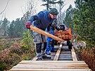 �emesln�ci obnovuj� pov�lkov� chodn�k na Chalupsk� slati na �umav�. Nov� prkna...