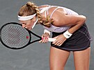 Petra Kvitová v utkání s Bernardou Peraovou v 1. kole turnaje v Guadalajae.