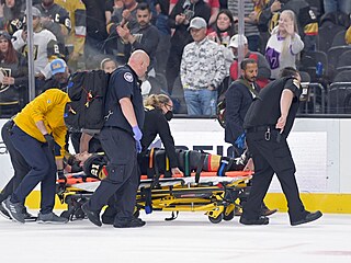 Zdravotníci letos v březnu odvezli v Las Vegas z ledu Bretta Howdena. NHL...