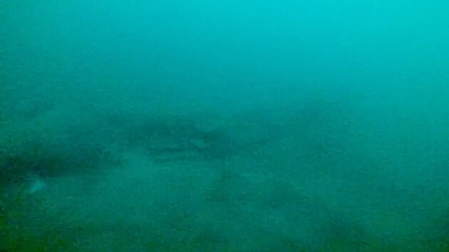 Podvodn zbry zatm neidentifikovanch trosek, kter by ovem mohly bt soust hledan ponorky U-206 Reichenberg.