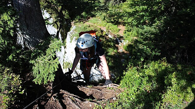 Ferrata Leadership je vhodn i pro zatenky. Po osvojen techniky se nezkuen lezec pomrn snadno dostane a na vrchol Predigstuhl.