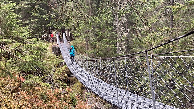 Lvka v Prodnm parku Paneveggio - Pale di San Martino