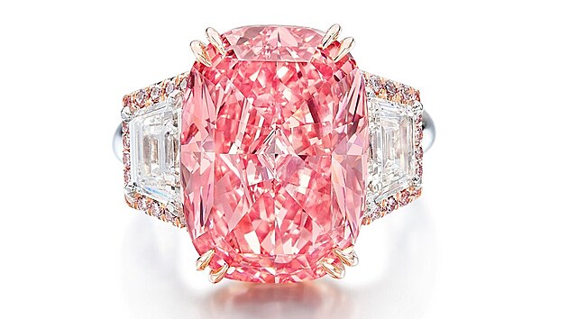 Rov diamant Williamson Pink Star se vydrail za 57,7 milionu dolar