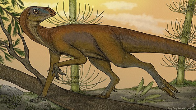 Obrazov rekonstrukce brazilskho silesaurida druhu Sacisaurus agudoensis. Tento asi 225 milion let star zstupce kladu Sulcimentisauria mohl mt z hlediska vvoje znan blzko k nejstarm ptakopnvm dinosaurm.