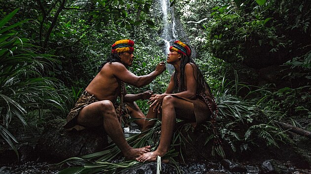 Amazonsk aman seznamuje svho novho uednka s posvtnm halucinogennm npojem ayahuasca a u ho tajemstv lesa. (31. bezna 2017)