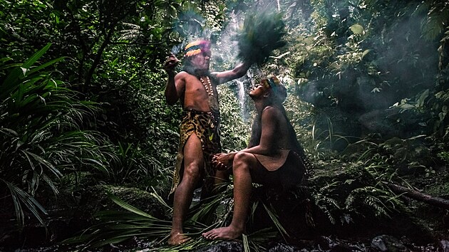 Amazonsk aman seznamuje svho novho uednka s posvtnm halucinogennm npojem ayahuasca a u ho tajemstv lesa. (31. bezna 2017)