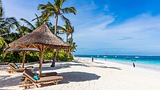 Zanzibar - ilustra�ní obrázek