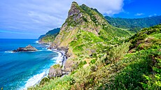 Madeira - ilustra�ní obrázek