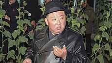 Severokorejský vdce Kim ong-un
