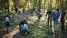 Takhle to na výsadbách vypadalo loni.