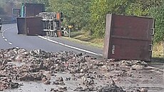 Na silnici se vysypal odpad, který kamion vezl do kafilérie. Nehoda zablokovala...