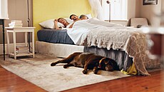 V lo�nici oceníte �chlupatý� koberec, d�evo na podlaze i teplé barvy.,