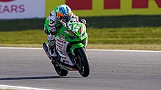 Nizozemský jezdec Viktor Steeman