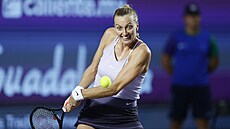 Petra Kvitová na turnaji WTA v Guadalajae