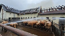 Požár kravína v Kunvaldu na Orlickoústecku.