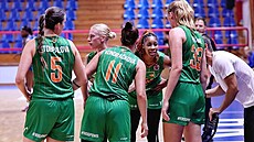 Basketbalistky �abin Brno se radí.