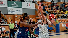 Dontay Bassett (vlevo) z Opavy p�ihrává v zápase s Hradcem Králové.