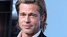 Hollywoodská hvzda Brad Pitt