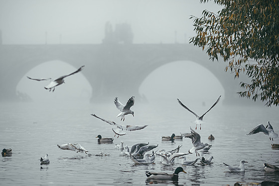 Podzimní poasí v okolí Karlova mostu v Praze. (27. íjna 2022)
