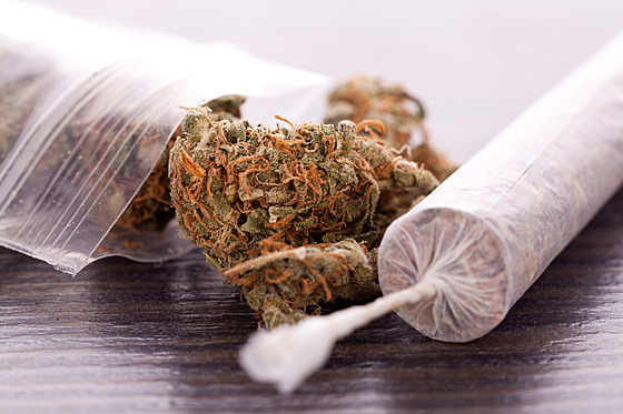 Suená marihuana a ubalený joint (ilustraní foto)