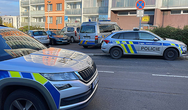 Z vraždy devatenáctiletého mladíka v Praze policisté obvinili šestnáctiletého