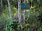 Cedule v regionu Catatumbo varují ped minami v blízkosti plantáí s kokou....