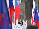 Jií Paroubek na demonstraci za odvolání vlády premiéra Petra Fialy. (28. íjna...