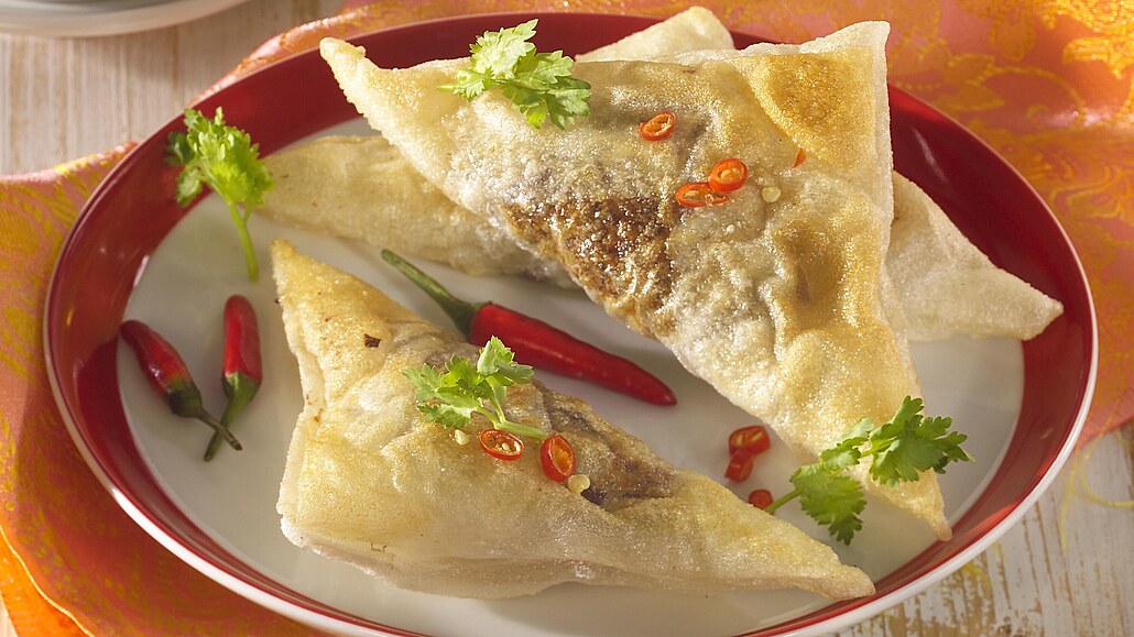 Brik Dannouni – Recepty iDNES.cz