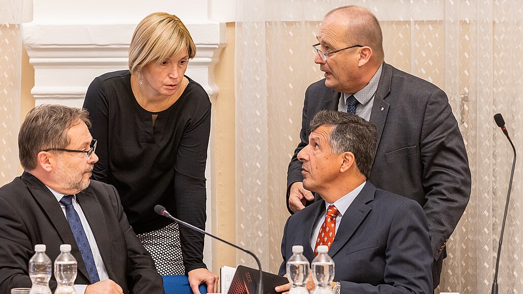 Pavlína Springerová (HDK) s ob�anskými demokraty, (zleva) je Miroslav Hlou�ek,...