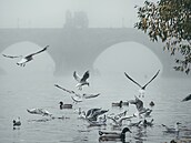 Podzimní poasí v okolí Karlova mostu v Praze. (27. íjna 2022)