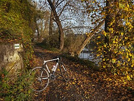 Podzimní poasí a cyklostezka v Kralupech nad Vltavou. (27. íjna 2022)