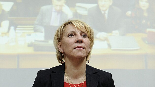 Rusk advoktka Jelena Lukjanovov (1. bezna 2013)