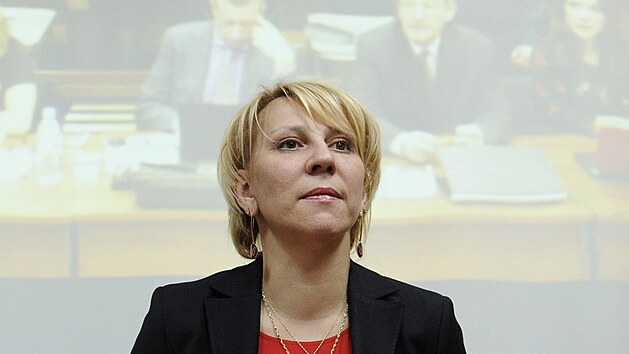 Rusk� advok�tka Jelena Lukjanovov� (1. b�ezna 2013)