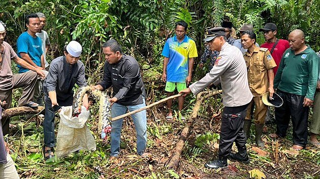 Vesnian v Indonsii nali tlo poheovan eny v trobch sedmimetrov krajty. (25. jna 2022)