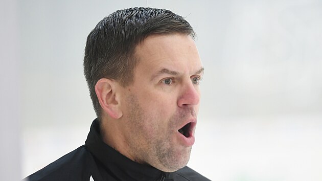 Karel Mlejnek je po odvoln Vladimra Riky novm trenrem hokejist Litvnova.