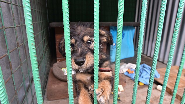 �tulek ve Vala�sk�m Mezi���� (��jen 2022)