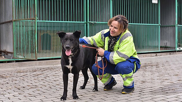 �tulek ve Vala�sk�m Mezi���� (��jen 2022)