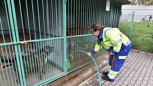 �tulek ve Vala�sk�m Mezi���� (��jen 2022)