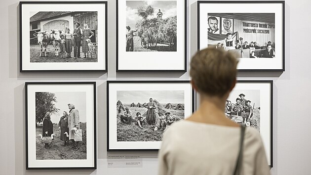 Kurtorka Dana Kyndrov  sestavila k nedoitm 100. narozeninm fotoreportra Emila Fafka (1922  1997)  vstavu s nzvemVe stehu, je autor povaoval za sv profesnmotto. Fafek psobil pes tyicet let vdenku Mlad fronta. (21. 10. 2022)