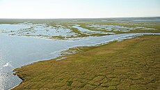 Delta eky Canning River na Aljace v roce 2019. Tající permafrost v popedí...