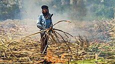 ilustra�ní snímek