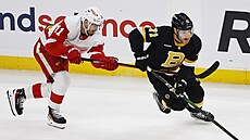 Filip Zadina (11) z Detroit Red Wings se v zápase s Boston Bruins pokouí...